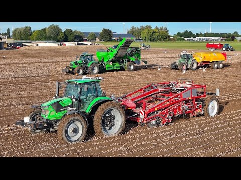 Harvesting Seed Potatoes w/ Two Fase System | AMAC Stock Harvester & AVR Spirit 9200i | Deutz Fahr