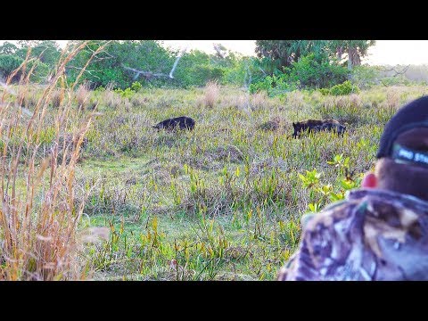 Giant Spotted Boar {Catch Clean Cook} 3 in 1!