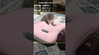 座布団の下で手をつなぎながら……