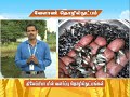 Pon Vilaiyum Bhoom 17 11 2020 Agricultural Technology