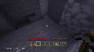 マイクラでもやりますか