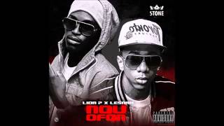 Lion p &amp;  lesnah