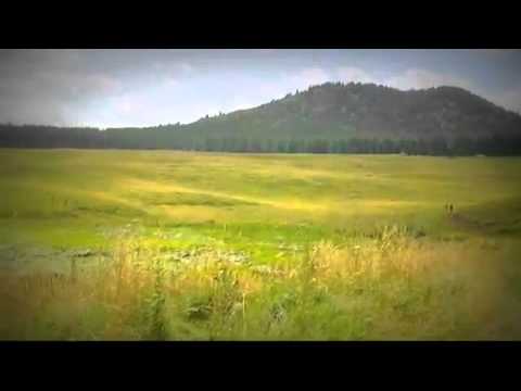 Pensiuni Sulina - Cazat.ro