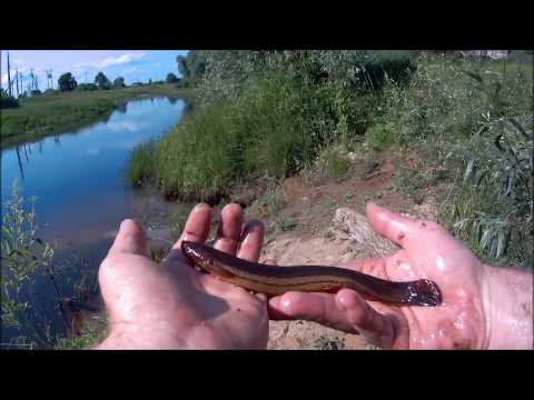 РЕЧКА ВЕРЯЖКА \ ПРОВЕРКА РАЗНЫХ ТИПОВ МЕРЕЖ \ РЫБА ЕСТЬ ! 28-06-2020 / РЕГИОН 53