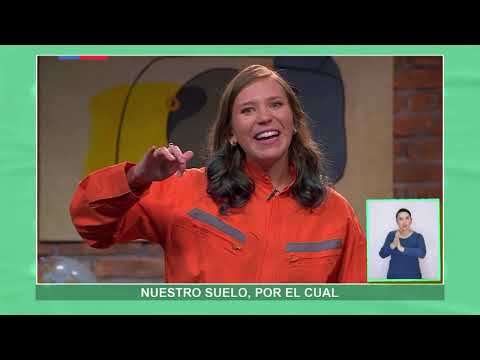 AprendoTV- Ciencias Naturales 4° básico / Capítulo 5