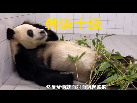 生气说韩语 做梦说韩语 还会唱韩文歌 乐宝成精了