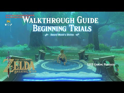 Breath of the Wild | EX Trial of the Sword [DLC] Beginning Trials Guide