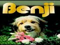 Benji 1974 Film Family Adventure