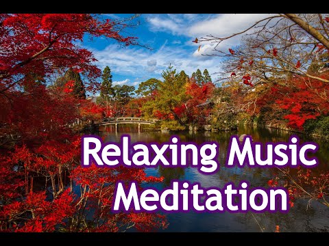 1-hour Music Therapy | In The Temple Garden - Aaron Kenny
