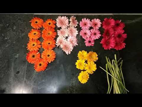 Colourful Sunflower Rangoli/Easy Rangoli /Diwali Special 2020