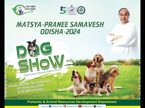 🔴 Live Now: Day 3 of Matsya Pranee Samavesh 2024! DOG SHOW