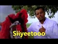Taaddalaa Gammachuu Old Song Siyeetoo