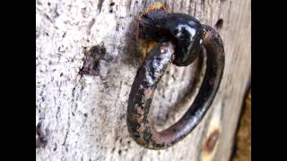 Elvis Costello and the Voice Squad - Full Force Gale