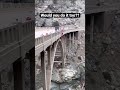 If Your Friends Jumped Off A Bridge Would You Do It Too Shorts