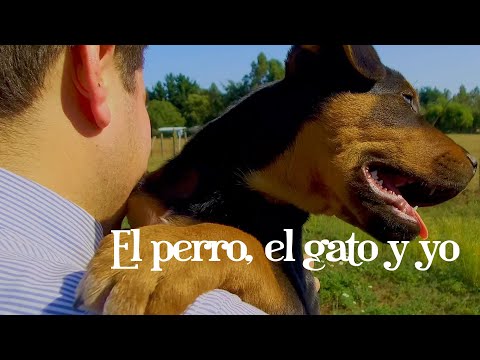 LOS PRISIONEROS DEL SUR - EL PERRO EL GATO Y YO (OFICIAL)
