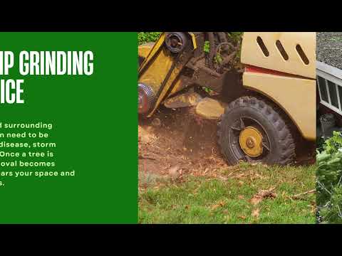 Videos from Mike's Outdoor Maintenance & Tree Removal