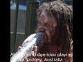 Aboriginal Didgeridoo playing at Sydney, Australia