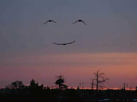 Seu plano, meu... - Som Maior - 1981