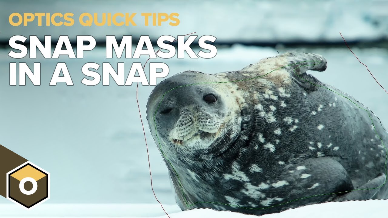 Optics Quick Tip: Snap Mask