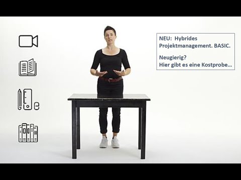 Hybrides Projektmanagement. BASIC. Eine Kostprobe.