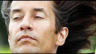 Tango Korrupti Rainhard Fendrich Korruption in Österreich