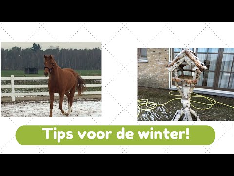 , title : 'Tips voor de natuur in de winter!'