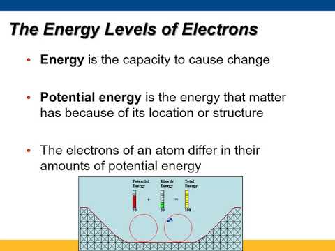 BIOL 165-01 - 02 - Chapter 2 - The Chemical Context in Biology