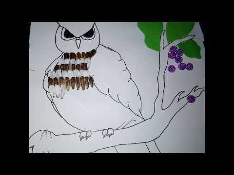 450 Gambar Kolase Hewan Burung Dari Biji Bijian Terbaru Gambar