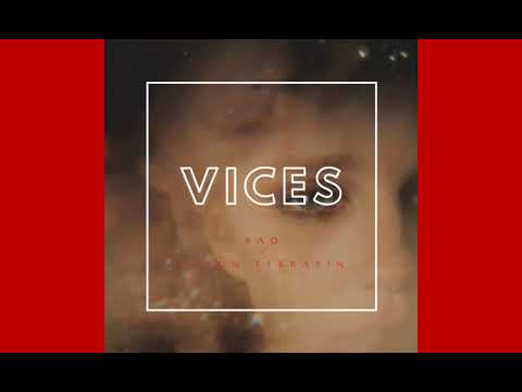 Bao x Aaron Terrapin - Vices