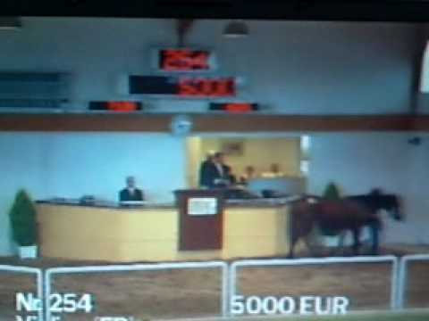 BBAG Sales 2009-09-05 Yearling Sales