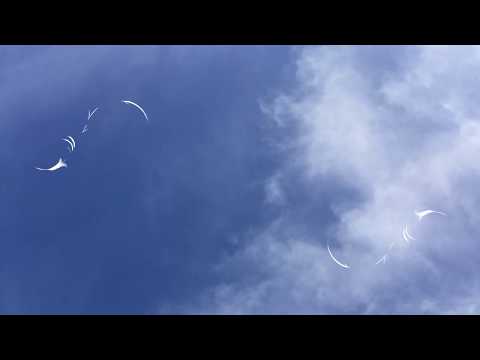 Peter Salett ~ Counting Clouds