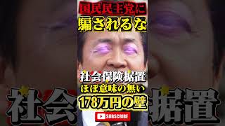 【国民民主党】玉木雄一郎に騙されるな！？ #政治 #ニュース #雑学