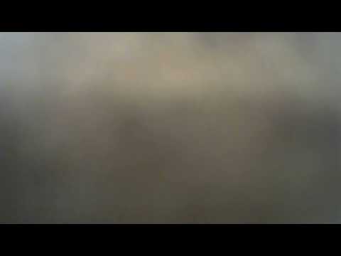 Art Hostage episode 84 Arthur Brand Ridouan Taghi Mick Van Wely Hitlers Horses