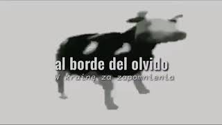 Cover art for polish cow