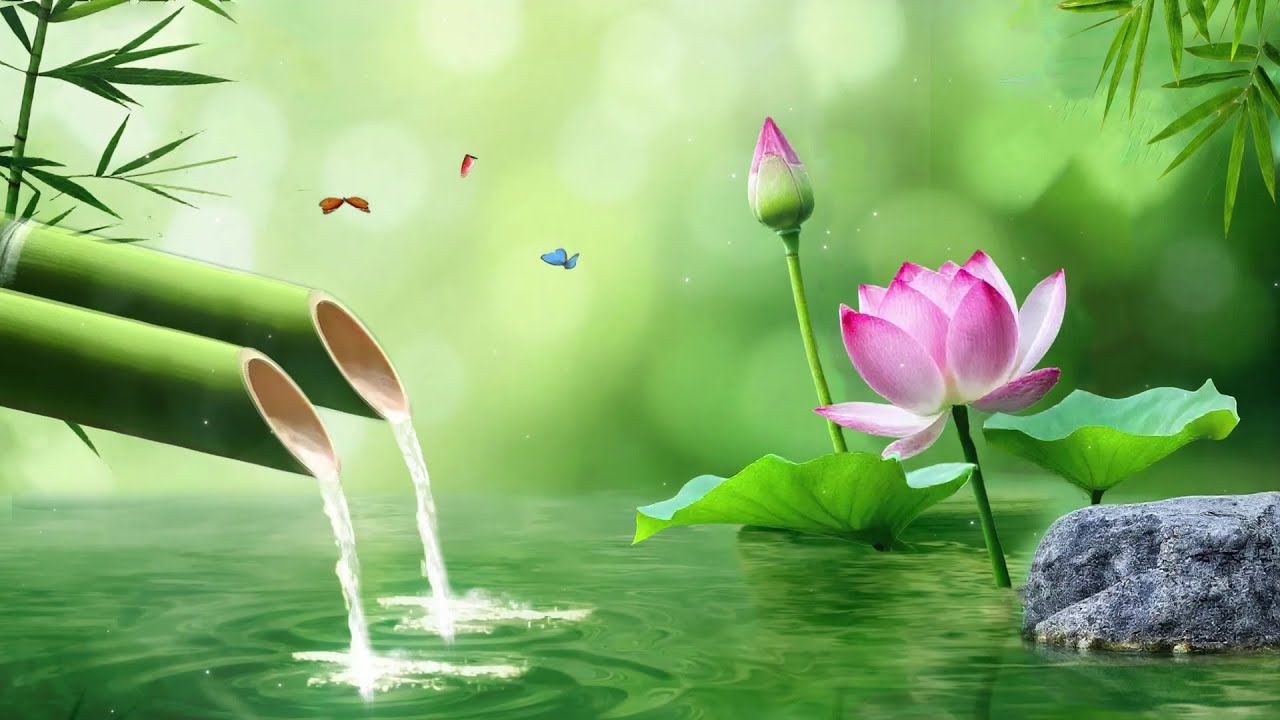 Tranquil Melodies Stress Relief 🌿 Heal Anxiety & Depression | Fall Asleep Gently Soothing Relaxation