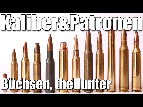 Büchsen Patronen und Kaliber Erklärt von theHunter: Call of the Wild