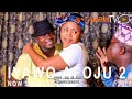Iyawo Afoju 2 Latest Yoruba Movie 2021 Drama Starring Sanyeri |Ifedayo Rufai|Okele |Maroof Olayiwola