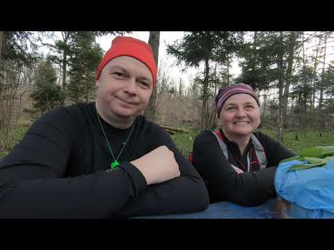 Pestera Sf Elena - Caras Severin