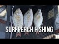 Catch, Clean, Cook - Surfperch on The Oregon Coast!