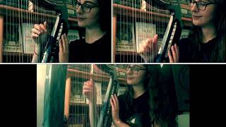 Kamelot’s “Static” - Cover for 4 Electric Harps