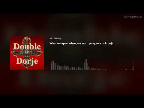 S01E23 What the tsok? What to expect.