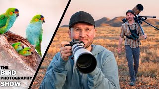 What Pros Keep QUIET! | The UNFILTERED TRUTH of Bird Photography