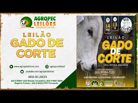 Agropecleiloes.com LEILÃO GADO DE CORTE | REAL LEILÕES - PORTO NACIONAL - TO 14/05/2024