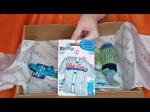 Kit-nip unbox September #kittenplaying #cattoys #kitnipbox #unboxing