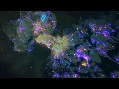 ŽTK - Vibration Of The Fifth Dimension (Visualiser)