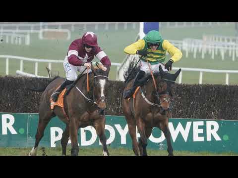 Horse Racing Betting Tips: Mullins magic means you will get more than your Cash Back
