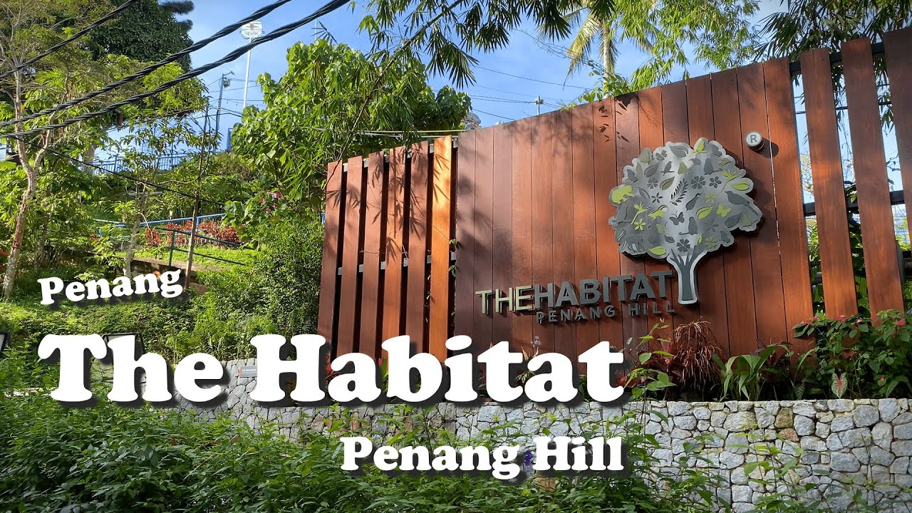 Embark on an eco-adventure of wildlife, trails, and treetop views at The Habitat