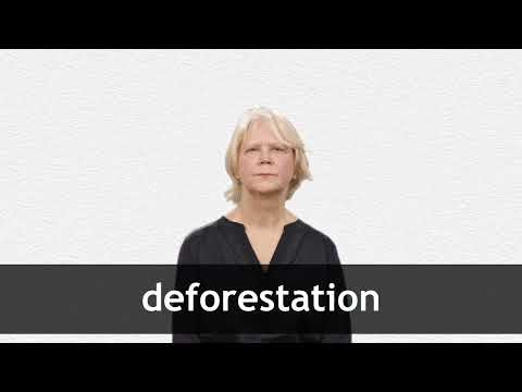 DEFORESTATION definition and meaning | Collins English Dictionary