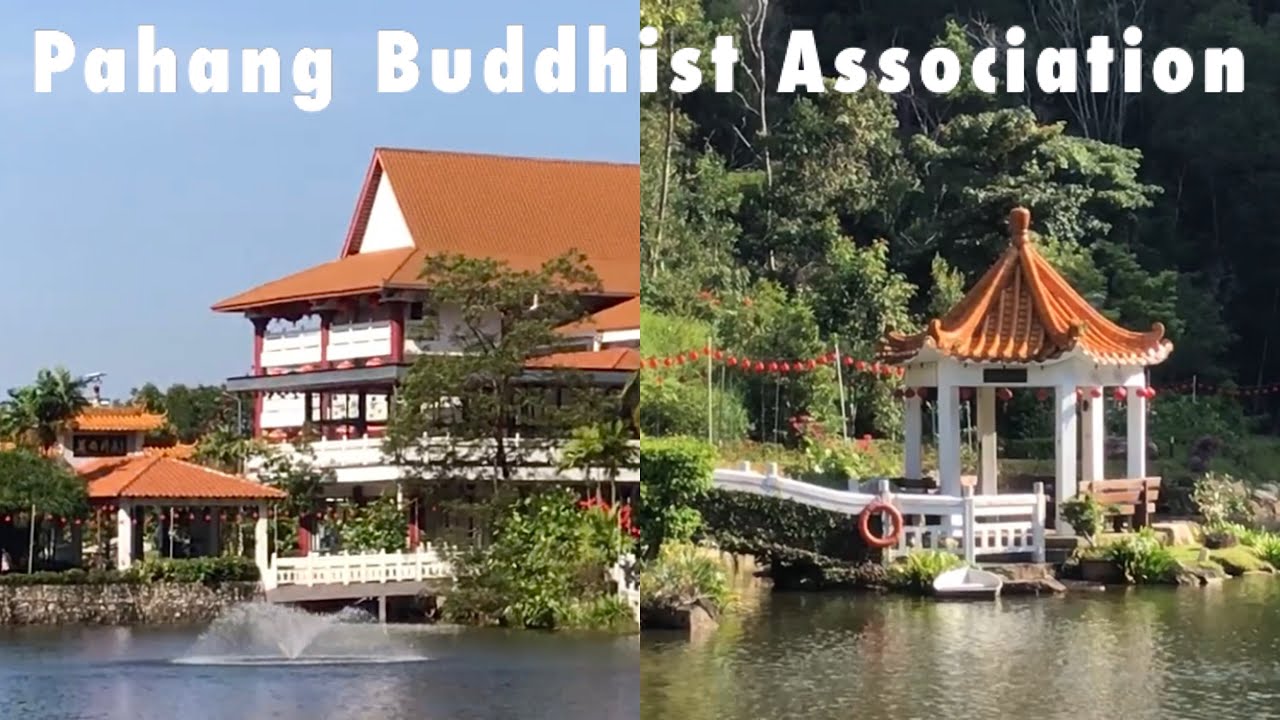 彭亨佛教会🪷🏮Pahang Buddhist Association⛲️🌳