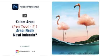 PHOTOSHOP KALEM  ARACI. ((PEN aracı kullanma) D. 29